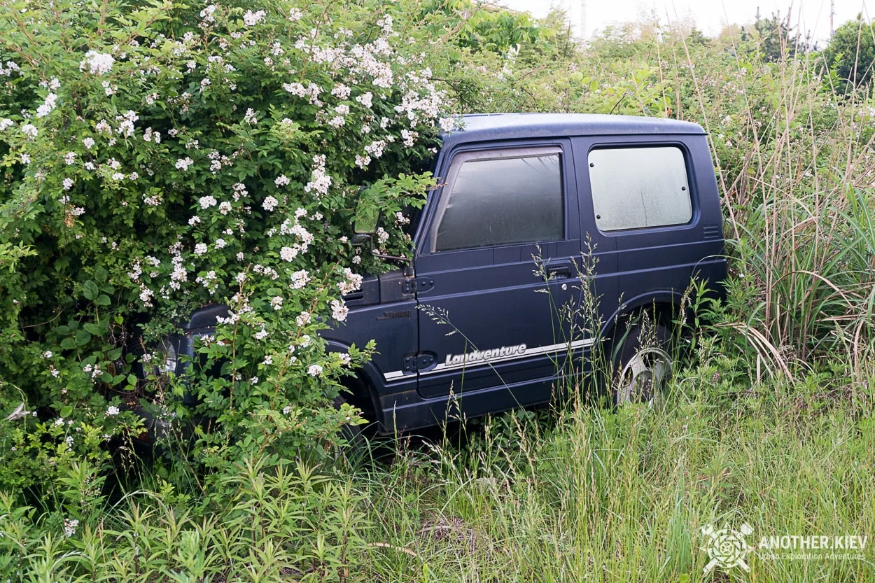 riot of nature in Fukushima red zone