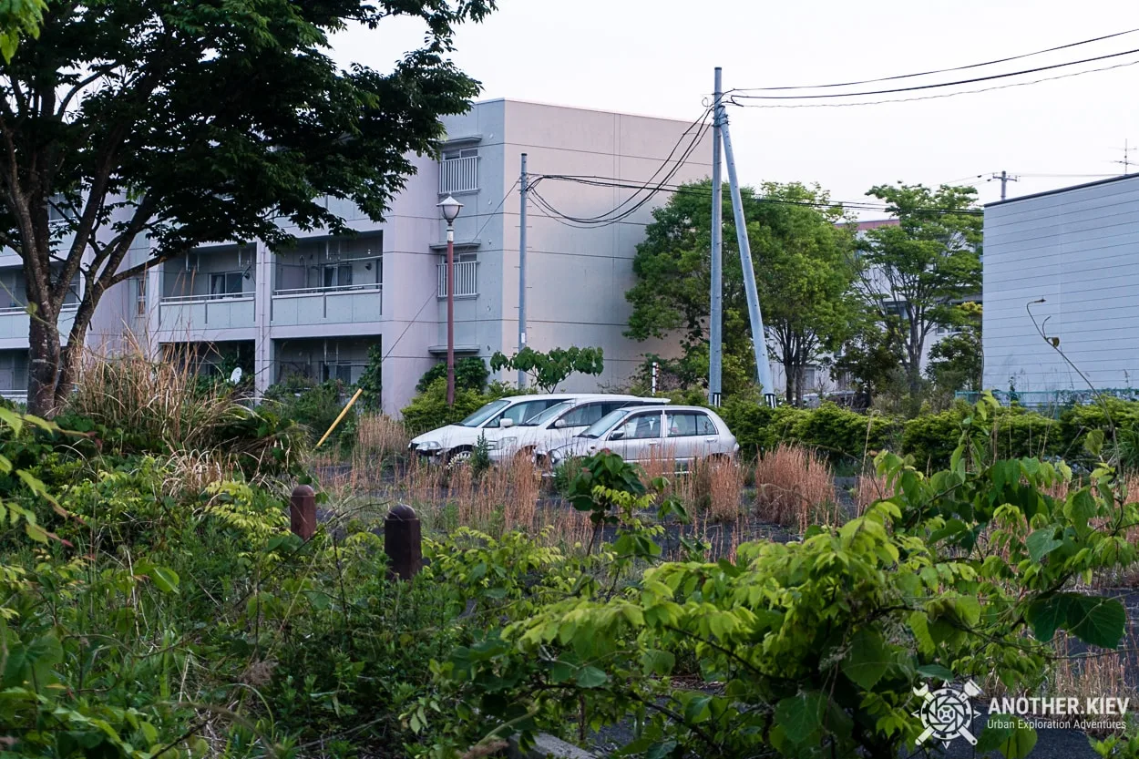 Streets of abandoned city became jungles