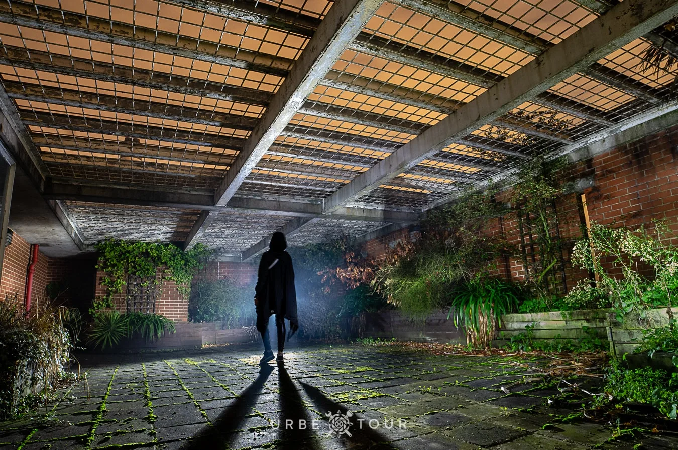 graded garden in the top of abandoned prison